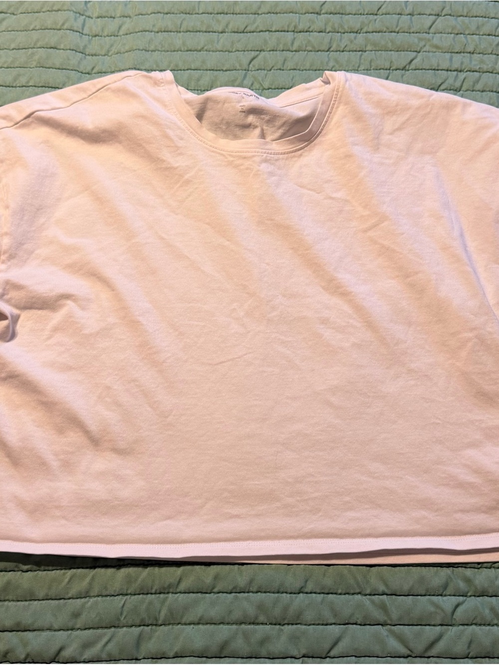 Cozy Earth cropped white tee